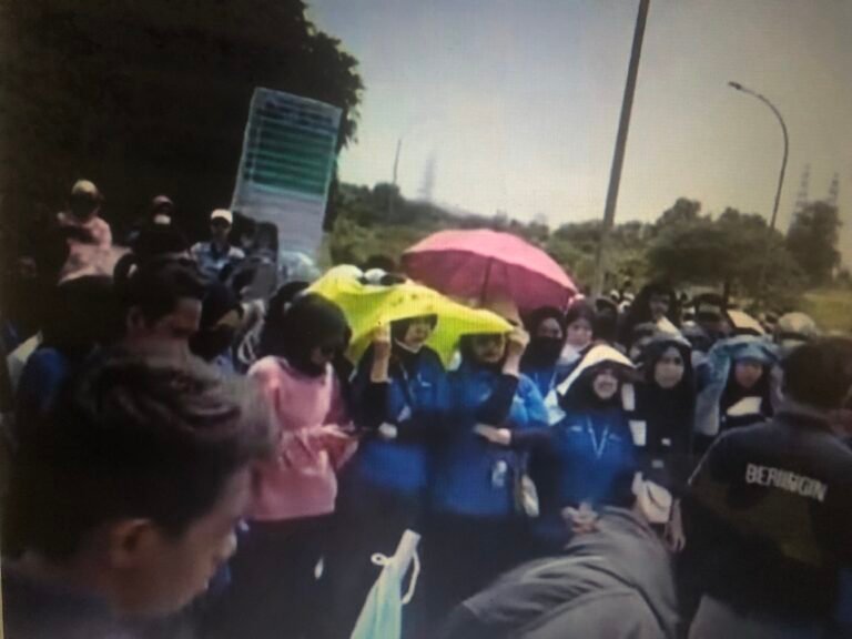 Sebanyak 308 Karyawan Pt Softex Karawang Melakukan Demonstrasi