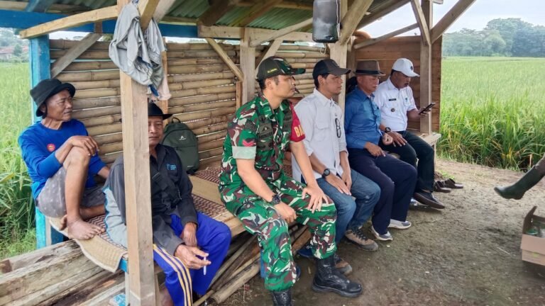 Dekatkan Diri dengan Petani Blok Cihonje, Babinsa AD Desa Jabong Gelar Komsos